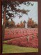 Deutscher Soldatenfriedhof ( Motiv 3 ) Anno 19?? ( Zie/voir Foto Voor Details ) !! - Lommel