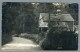 High Elms Road Downe - Farnborough, Hampshire, England UK United Kingdom - F. Kehrhahn C1904-13 - Real Photo Post Card - Altri & Non Classificati