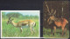 Russia 1990,1993  2 V  Elk,  Deer, Antelope - Tamaño Pequeño : 1991-00