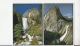 BF18666 Front Left Vernal Falls  Yosemite  USA  Front/back Image - Yosemite