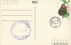 Hong Kong 2007 Souvenir Postcard - Postal Stationery