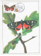 Belarus 1995 Fauna Butterfly Butterflies Ant Insects Canceled In Minsk 1996, Card 1987 - Belarus