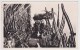 (RECTO / VERSO) MONACO EN 1952 - N° 8 - JARDINS EXOTIQUES - Exotische Tuin