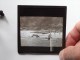 Ilfracombe Boys Batting ( ? U.K. ? ) : Plaat +/- 8 X 8 Cm. ( Zie Foto Voor Details ) ! - Plaques De Verre