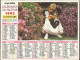 Calendrier La Poste 1995 - Photo Enfants Et Chien, Fillette Avec Chat - Grand Format : 1991-00