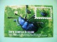 Postcard On Insects From Argentina - Beetle - Philatelic Show - Insectes