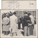 Algérie 1957. Carte Postale Envoyée En FM. Partie De Boules. Vieux Messieurs Avec Chapeaux Ou Bérets, Palmiers - Boule/Pétanque