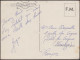 Algérie 1957. Carte Postale Envoyée En FM. Partie De Boules. Vieux Messieurs Avec Chapeaux Ou Bérets, Palmiers - Boule/Pétanque