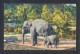 *Indian Elephants* Ed. Stehli Nº 180. Nueva. Señales De Uso. - India