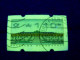 1999   N° 3  CORS * 1 1 0 * DISTRIBUTEURS PHOSPHORESCENT  OBLITÉRÉ YVERT TELLIER 2.00 € - Rollenmarken