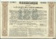 OBLIGATION, SHARE  ---  RUSSIA   --  CHEMIN DE FER, RAILROAD COMPANY  --  1880  --  39 Cm X 31 Cm - Russland