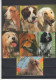 USSR 1991  7 V Dogs Dog Chien Chiens Hund Hunde Cane Cani Hond Honden - Formato Piccolo : 1991-00