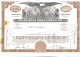 Scripofilia Pan American World Airways Certificate Of Stock 93 + 80 + 50 + 49 + 48 + 40 + 25 + 23 + 10 + 5 + 2  Doc.033 - Aviation