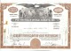 Delcampe - Scripofilia Pan American World Airways Certificate Of Stock 93 + 80 + 50 + 49 + 48 + 40 + 25 + 23 + 10 + 5 + 2  Doc.033 - Aviazione