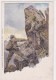 CILIMBING, ERNEST PLATZ, OLD ORIGINAL VINTAGE POSTCARD - Climbing