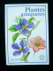 Grund  Plantes Grimpantes 1990 Excellent Etat - Jardinage