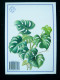 Grund  Plantes Grimpantes 1990 Excellent Etat - Jardinage