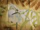 Original Chinese Painting:Two Birds,25x25in - Other & Unclassified