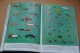 Delcampe - 1958 The Book Of Fishes NATIONAL GEOGRAPHIC Illustrations Le Livre Des Poissons - Themengebiet Sammeln