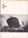 1965 Ships LIFE SCIENCE LYBRARY Illustrations Navires - Boeken Over Verzamelen