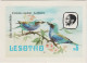 CARTOLINA - LESOTHO - Lesotho Birds - Philatelic Bureau - Not Used - Lesotho