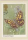 BUTTERFLY SKIPPER - ENGLAND UK GB 1981 PHQ FDC CARD WITH STAMP - INSECTS BUTTERLIES SCHMETTERLINGEN PAPILLONS MARIPOSAS - Mariposas