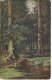 Musee Russe De L'Empereur Alexandre III, J Klever, La Foret, 3822 - Russland