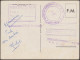 Algérie 1957. Carte FM Utilisée. Taghit (Territoires Du Sud, Vue Du Bordj). Palmiers Dans Le Désert - Arbres