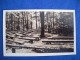 RPPC Amphitheatre, Coopers Rock State Forest, Bruceton Mills, West Virginia - Autres & Non Classés