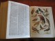 Delcampe - The Concise English Dictionary ANNANDALE Literary Scientific & Technical ILLUSTRATED - Langue Anglaise/ Grammaire