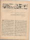 Revue Politique , 1950 , 21 Pages , Illustrations , L'Amérique Aujourd'hui , Lewis Galantière , Frais Fr : 3.00€ - Politique