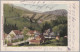 BW BAD PETERSTHAL 1900-6-4 Petersthal Foto Félix Luib - Bad Peterstal-Griesbach