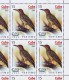 Delcampe - 2009.525 CUBA MNH SHEET COMPLETE 2009 MNH BIRD TURNAT - Hojas Y Bloques