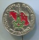 SCOUT, Scoutisme, Eclaireur -  Yugoslavia, Belgrade, Metal, Pin, Badge - Scoutisme