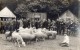 CPA 663 -  Carte Photo Militaire - Soldats Devant Stands Parc Des Minimes Mr BOUVIER - Moutons - VINCENNES ?? LE PERREUX - Characters