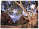 (89) Australia - NT - Emily Gap (with Living Together Stamp At Back Of Card) - The Red Centre