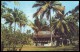 MALAYA. MALACCA. MALAY KAMPONG. 1950's Unused Postcard - Malaysia