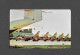 AVION - AVIATION -  R.C.A.F. DAY IN CANADA FAMOUS GOLDEN HAWKS LINE UP BEHIND TAIL OF CARIBOU TRANSPORT - 1946-....: Moderne