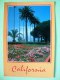 USA 1988 Postcard "coast At San Clemente - Palm Trees" To England - Robert Milikan - Lettres & Documents