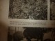 Delcampe - 1917 LPDF: Minitres De PAINLEVE; Les Moteurs D'avions; Le CHEMIN Des DAMES; Jardin De Toit; Tracy-le-Val...etc - French