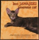 Javanese Cat With Swarovski Eyes .999 - Niue