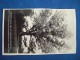 RPPC Historic White Oak At Lincoln's Birthplace (Hodgenville, Kentucky) - Presidents