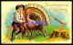 Thanksgiving  Greetings -  Dinde  - Turkey -  Enfant - Hache - - Carte Gaufrée - Embossed Card -  - Illustrateur - Thanksgiving