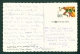 USA  -  Alaska  Mendenhall Glacier  Used Postcard Mailed To The UK As Scans - Juneau