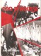 Delcampe - COQ D'AOUSSE - Journal Intime De La Wallonie- LES 12 NUMEROS  0 à 11 - PARUS De Avril 83 N°0  à été 85 N°11 - - Belgique