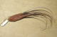 PLUME à CHAPEAU Tige D´ Antilope MARRON Foncé Couleurs Chatoyantes 15 Cms - Coiffes, Chapeaux, Bonnets