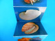 Delcampe - MALACOLOGICAL MUSEUM - SEA SHELLS Old Set Of 11. Photos - Sea Shell Coquillage Seashell Seashells Coquillages Conchiglia - Other & Unclassified