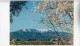 BF28680 Le Canigou Au Printemps En Roussillon France  Front/back Image - Roussillon