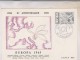 CONSEIL DE L EUROPE 1965!! - Andere & Zonder Classificatie