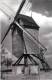 HERENTHOUT (Prov. Antw.) Molen/moulin - Prachtige Close-up Van De Verdwenen Molen Van Snoeys ±1950 - Herenthout